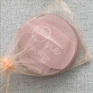 Pink Baby Milestone Disc